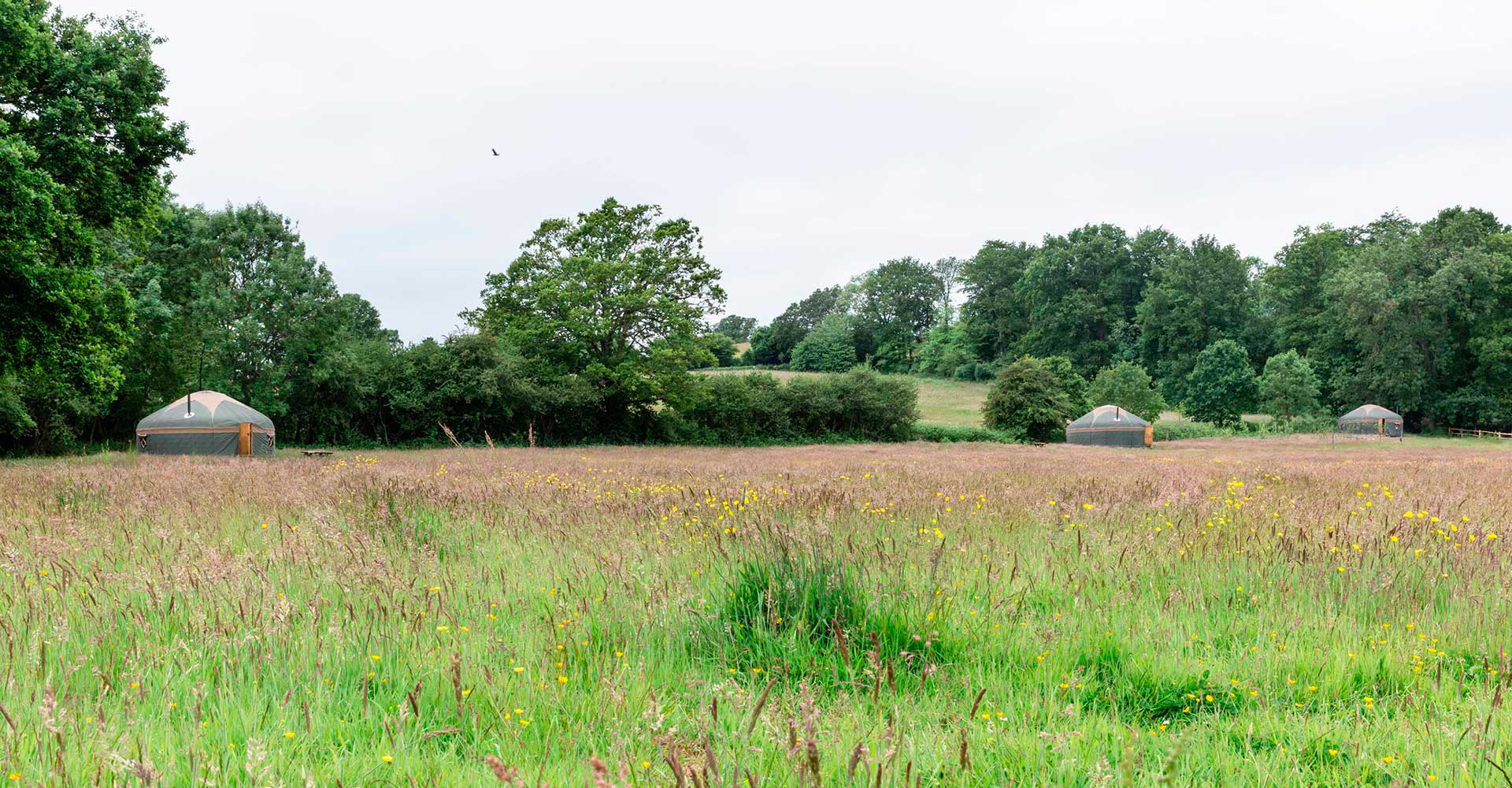 Glamping In the Surrey Countryside