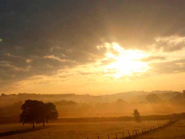 Out & About in the Surrey Hills