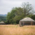 Yurt-camping-in-surrey