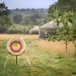 archery-target-in-a-field